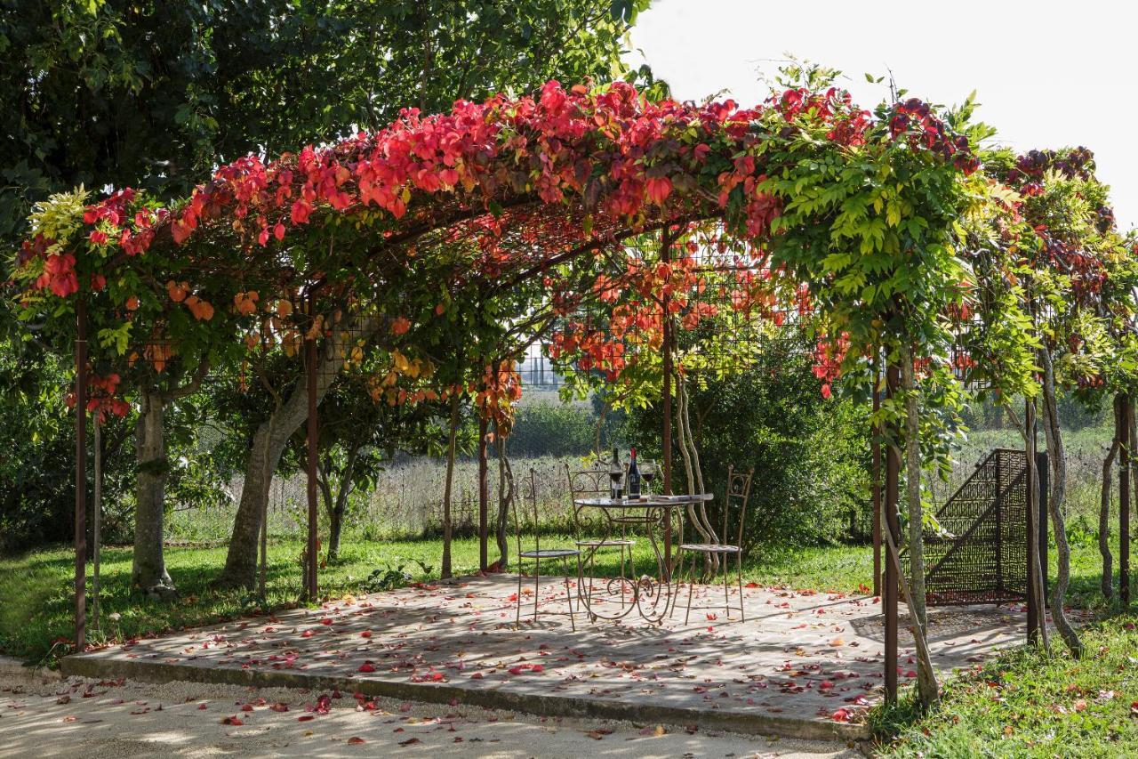 Seipetali Aparthotel Cannara Bagian luar foto